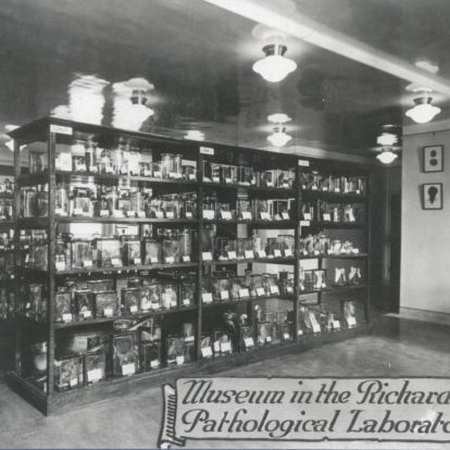Museum in the Richardson Pathology Labs late 1920's
