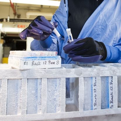 Celebrating KGH's Tumour Bank