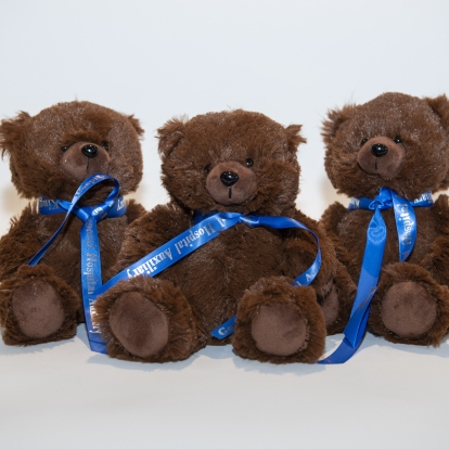 2022 teddy bears