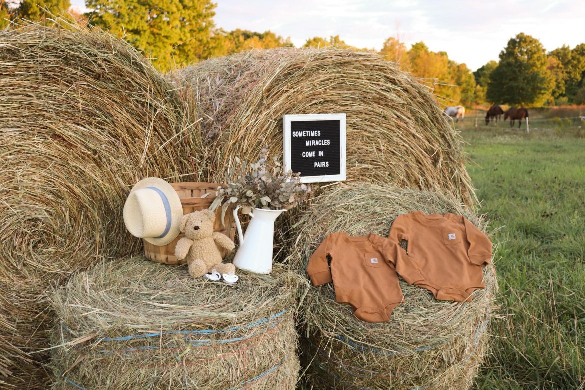a birth announcement - two onesies in a country farm setting