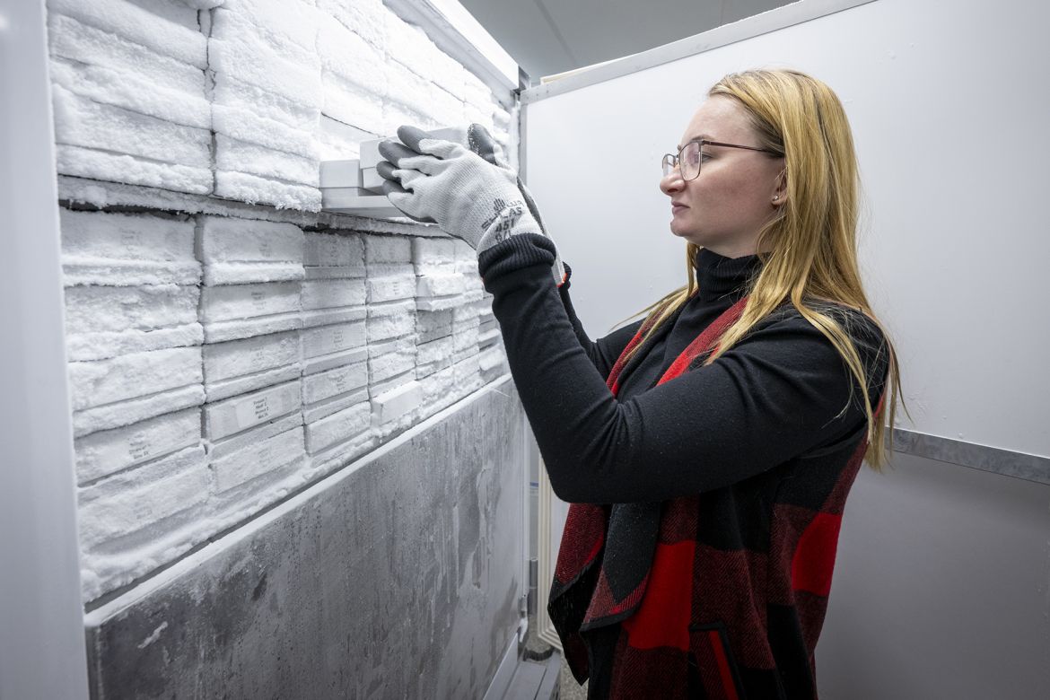 Inside the TTDR freezers.