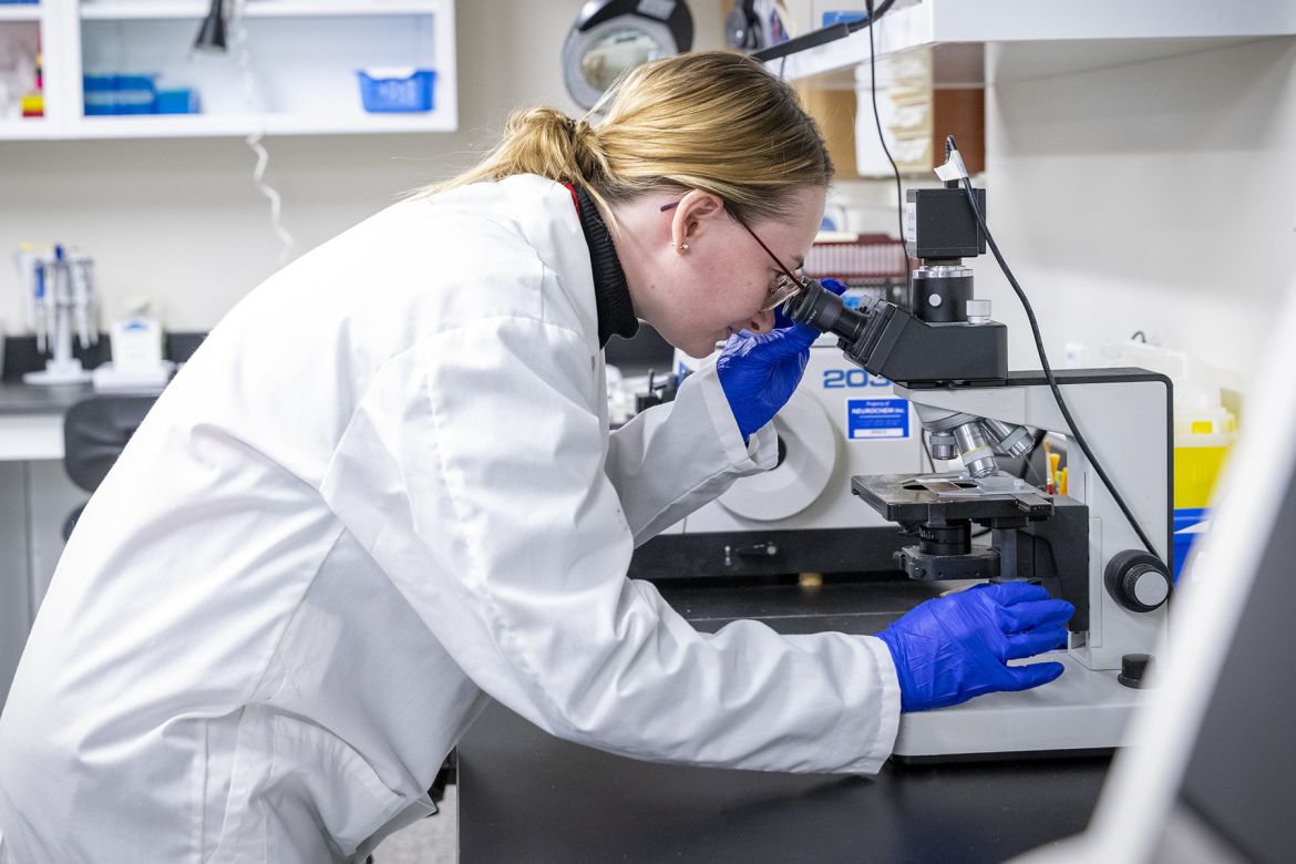 Laboratory space in the TTDR.