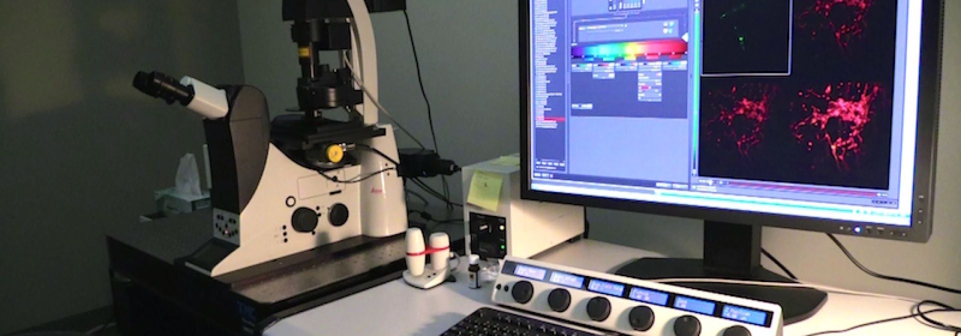 Dr. Archer's Lab equipment