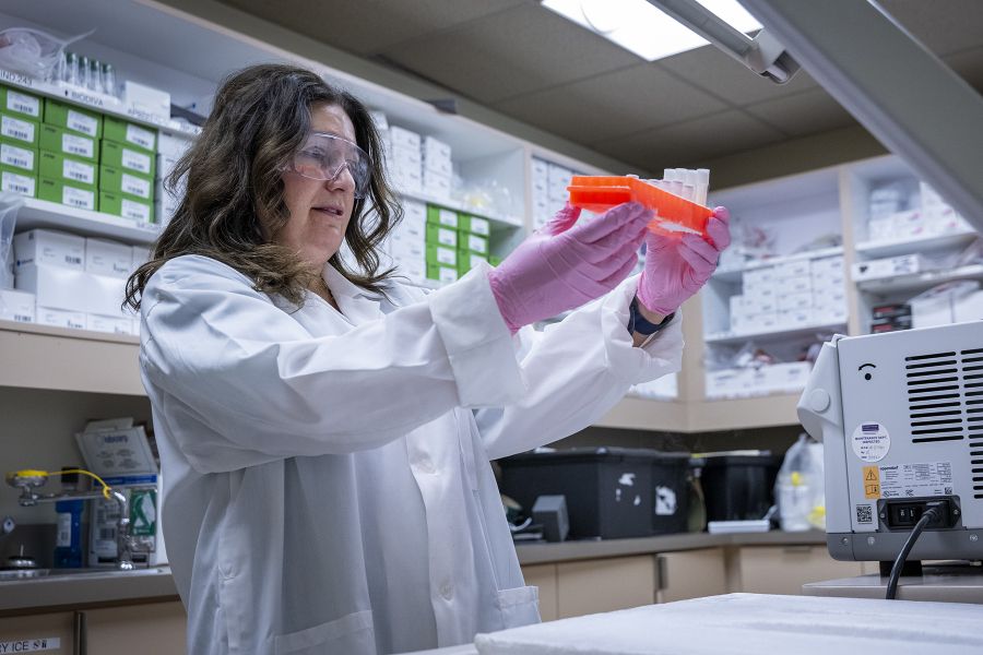 A member of KHSC's clinical trials team at work in a research lab.
