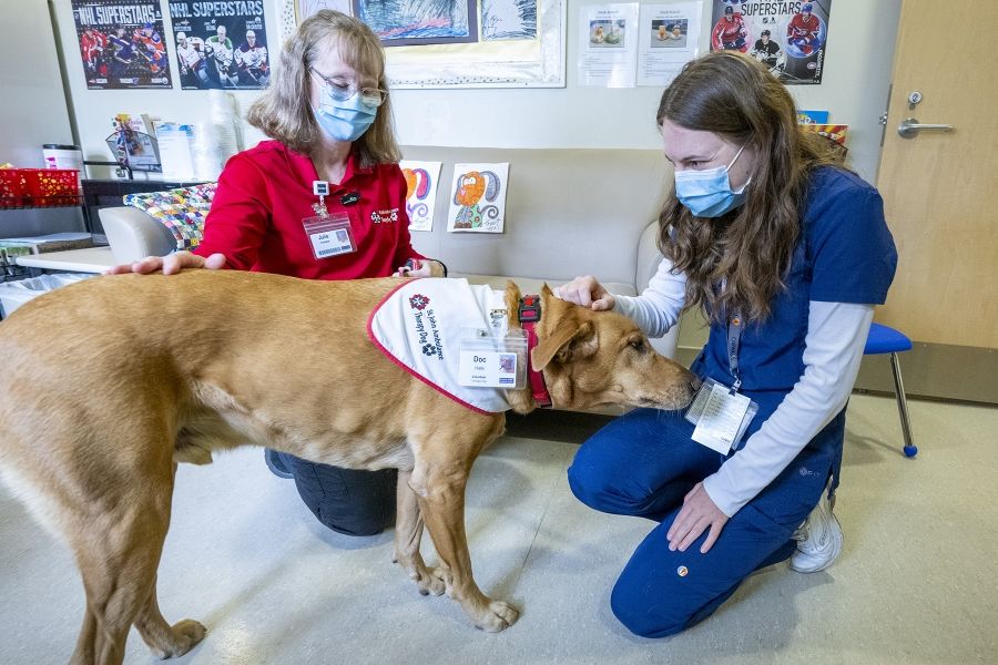 People of KHSC - Julie Halle + Doc Julie Halle and a KHSC staff member crouch on the floor as the chat together while petting Dog. Dog is seen wearing his ID badge and St. John Ambulance Therapy Dog bandana.