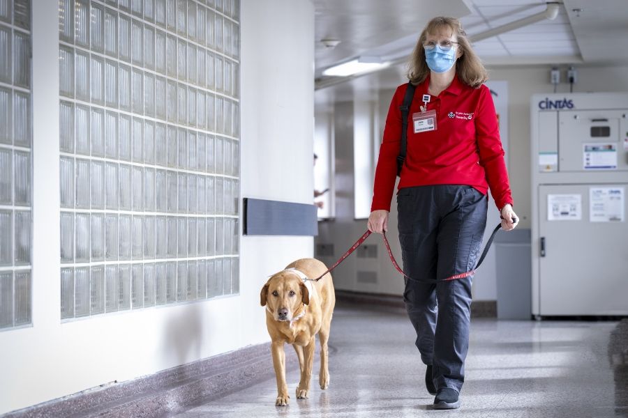 People of KHSC - Julie Halle + Doc Julie Halle and Dog are walking down a hallway at the KGH site. Both are wearing their St. John Ambulance Therapy Dog apparel, as well as their KHSC ID badges.