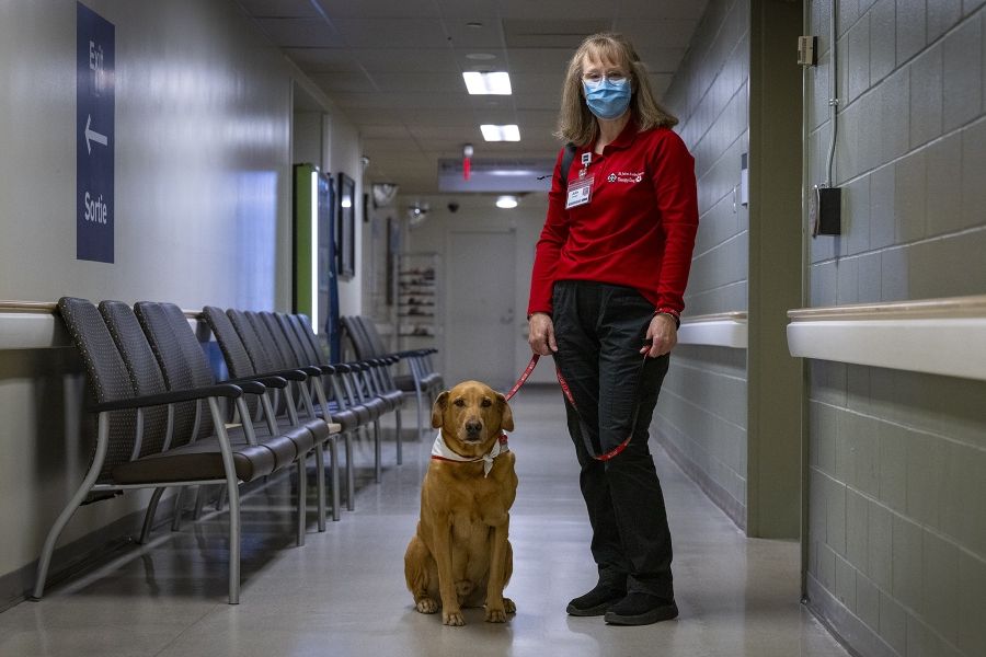 People of KHSC - Julie Halle + Doc Julie Halle and Doc are standing in a hallway at the KGH site facing the camera. Both are wearing their St. John Ambulance Therapy Dog apparel, as well as their KHSC ID badges.