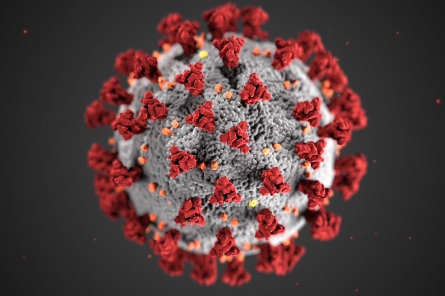 Covid Virus