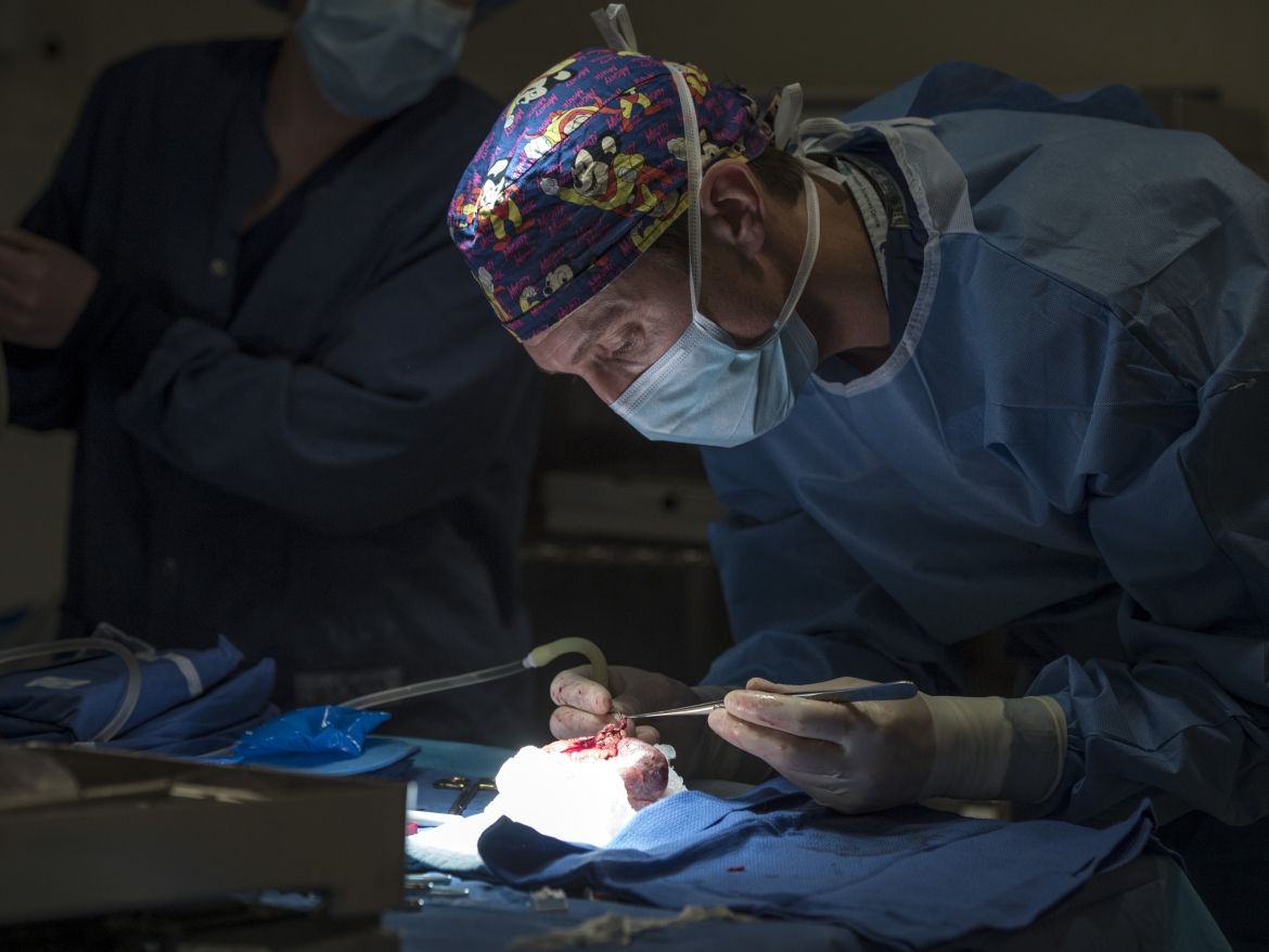 mm9_9161.jpg Dr. McGregor prepares the kidney before it is transplanted into the recipient. It is cleaned, flushed and packed on ice until the transplantation procedure begins.