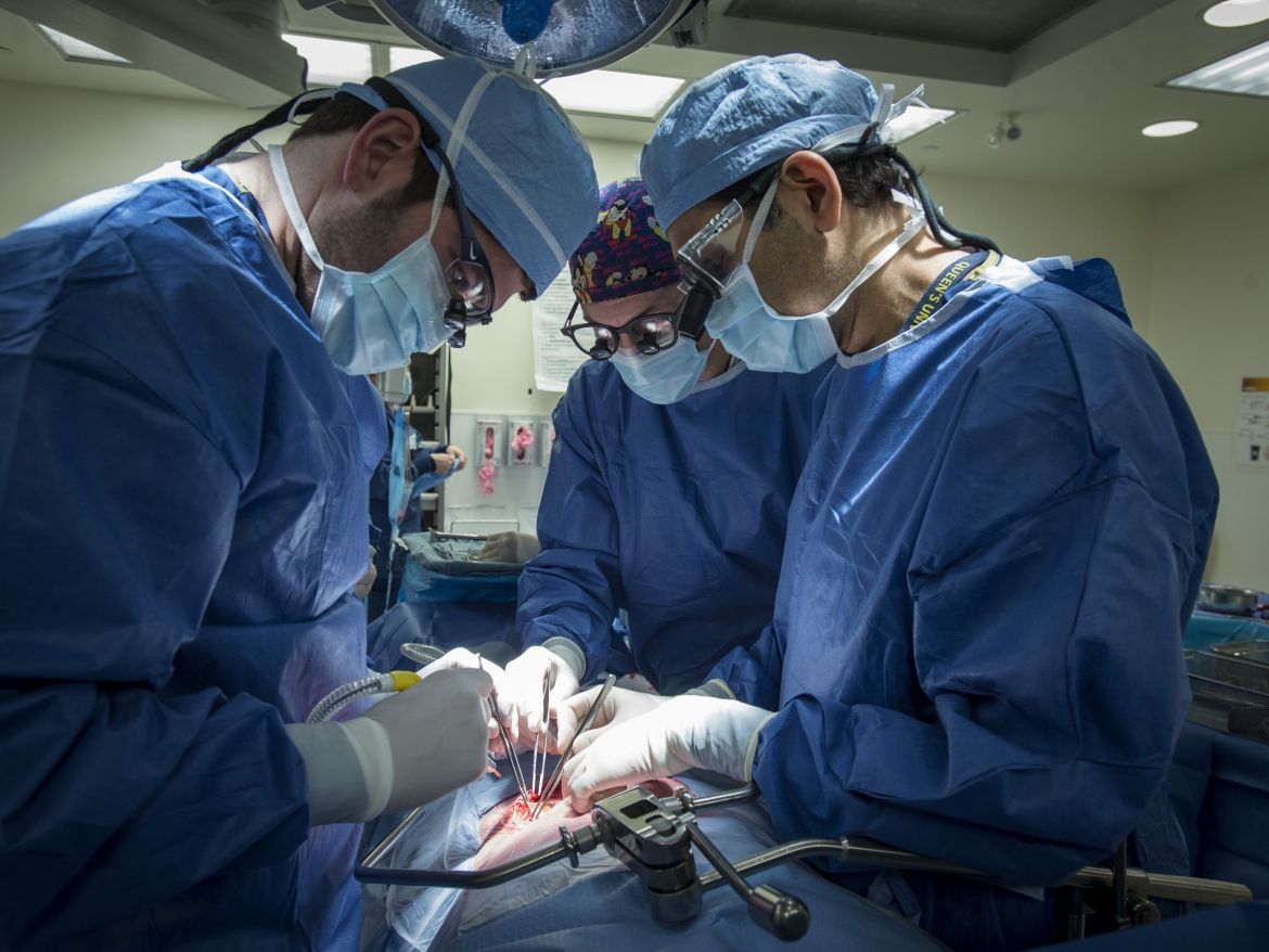 mm9_9235.jpg KHSC's surgical team prepares to remove a kidney from a living kidney donor at our KGH site.