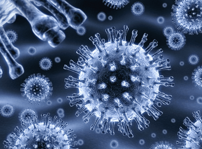 Influenza virus