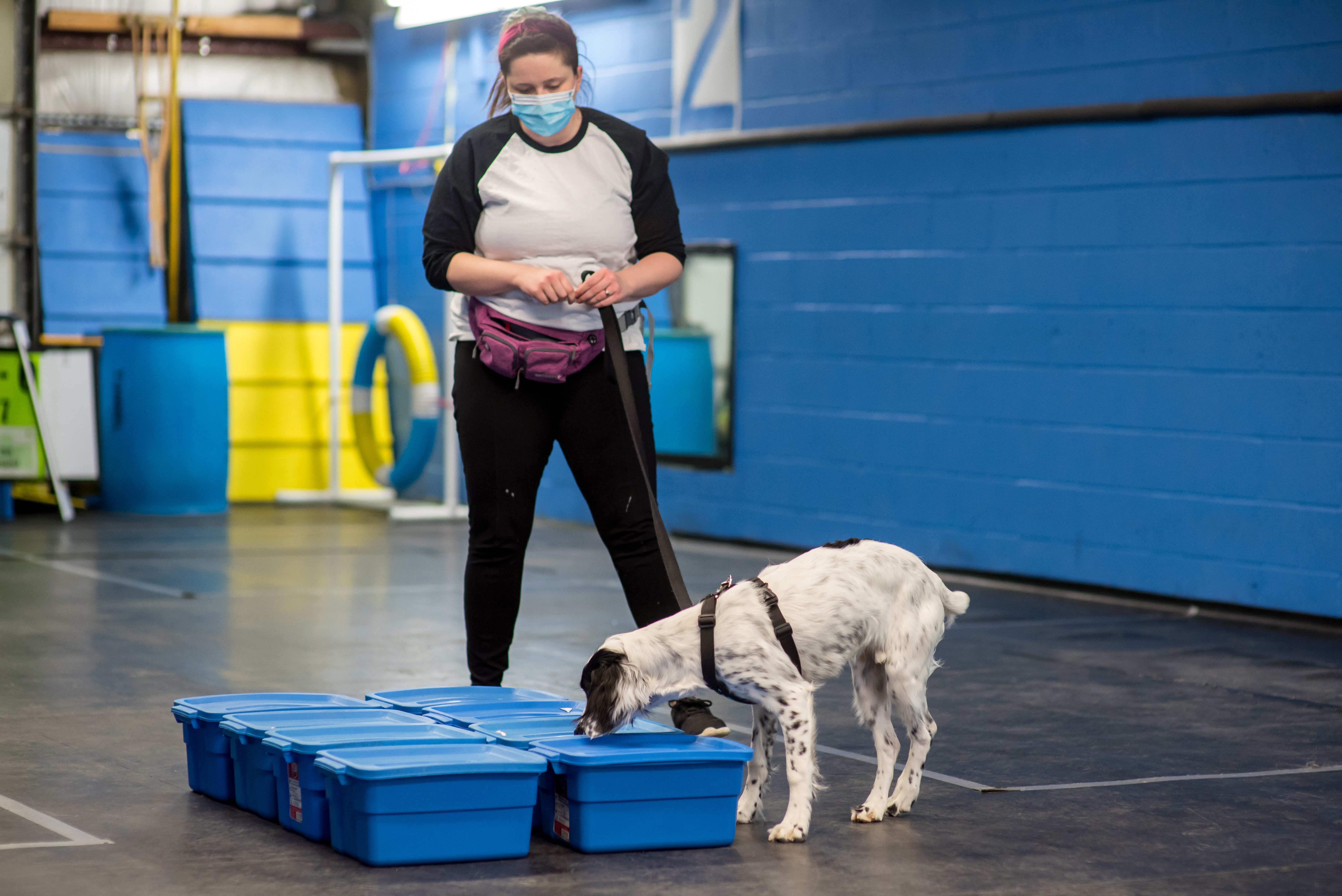 image of Infection Control Practitioner with dog