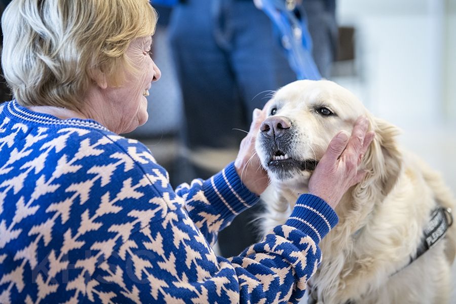 patient with therapy dog
